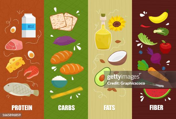 ilustraciones, imágenes clip art, dibujos animados e iconos de stock de conjunto de principales grupos de alimentos, macro y micronutrientes. grasas, fibra o celulosa, carbohidratos y proteínas - carbohidrato