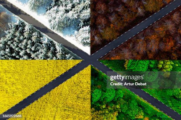 roads composition with the x shape driving during the four seasons weather conditions. - autoreifen natur stock-fotos und bilder