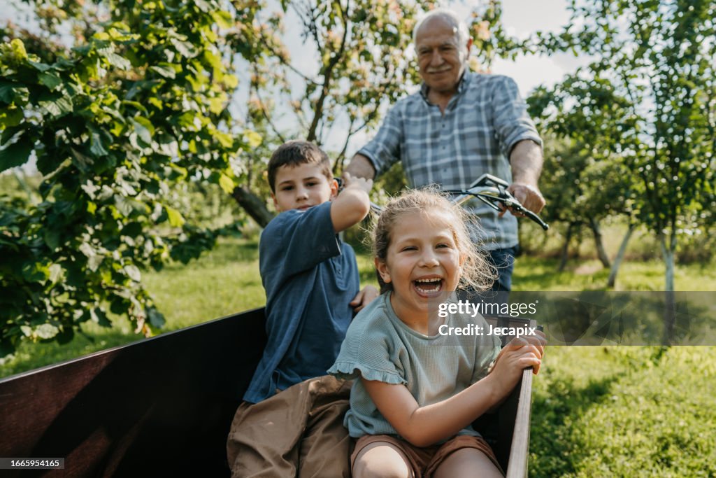 Grandpa riding grandkids in cargo bike