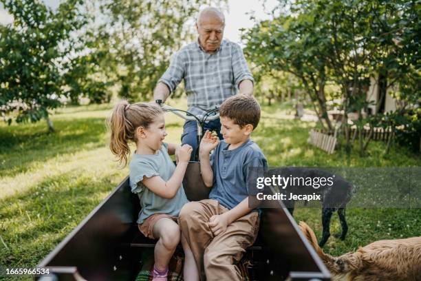 766 Girl Rides Dog Stock Photos, High-Res Pictures, and Images - Getty ...
