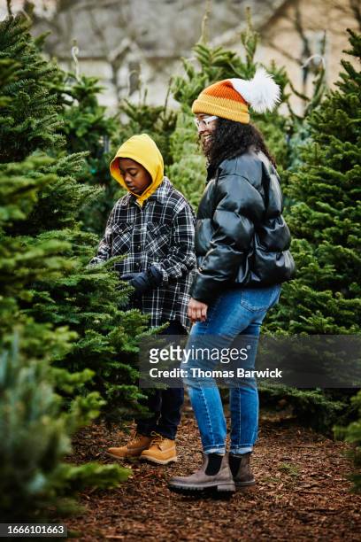 wide shot mother and son shopping for tree in christmas tree lot - african people buying a christmas tree stockfoto's en -beelden