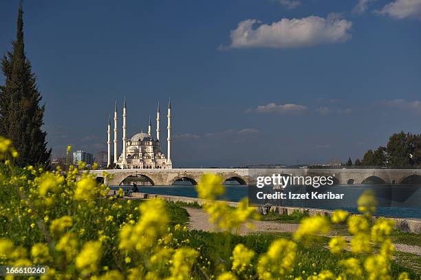 taskopru bridge and sabanci mosque - adana stock pictures, royalty-free photos & images