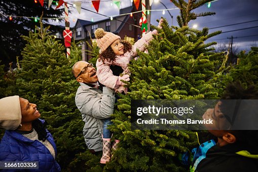 Wide shot grandfather lifting girl to touch top of Christmas tree