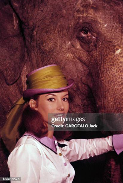 Rendezvous With Pascale Audret. France- Pascale AUDRET, actrice française, en tenue de cavalière, un chapeau décoré d'un large foulard jaune, veste...