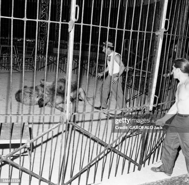 Circus Achille Zavatta. La troupe d'Achille ZAVATTA lors d'une tournée : le 17 juillet 1953, au cour d'une représentation du Super-Circus, à...