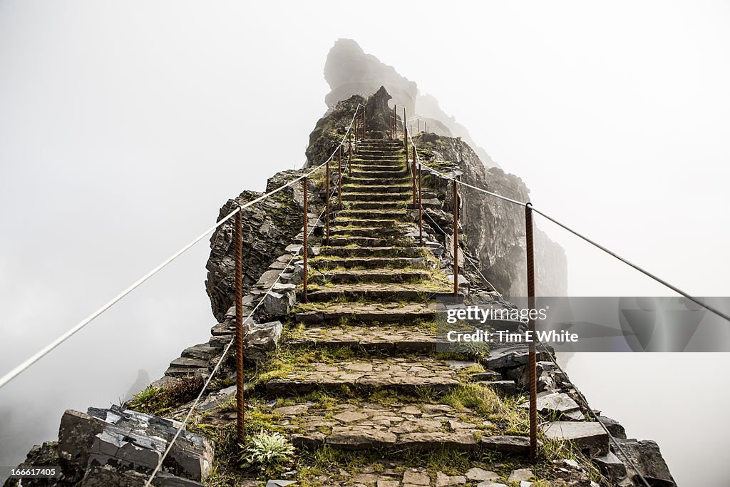 Highland trail, Madeira, Portugal