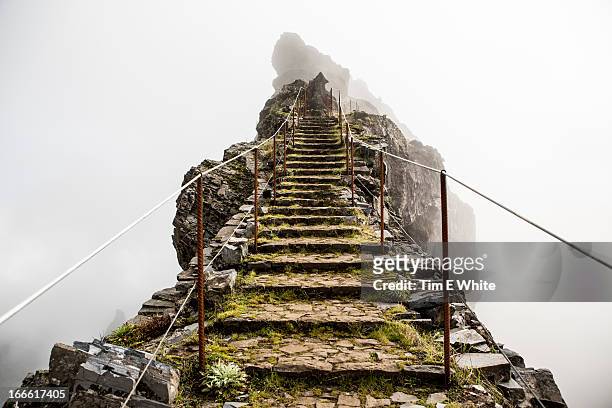 highland trail, madeira, portugal - mistero foto e immagini stock