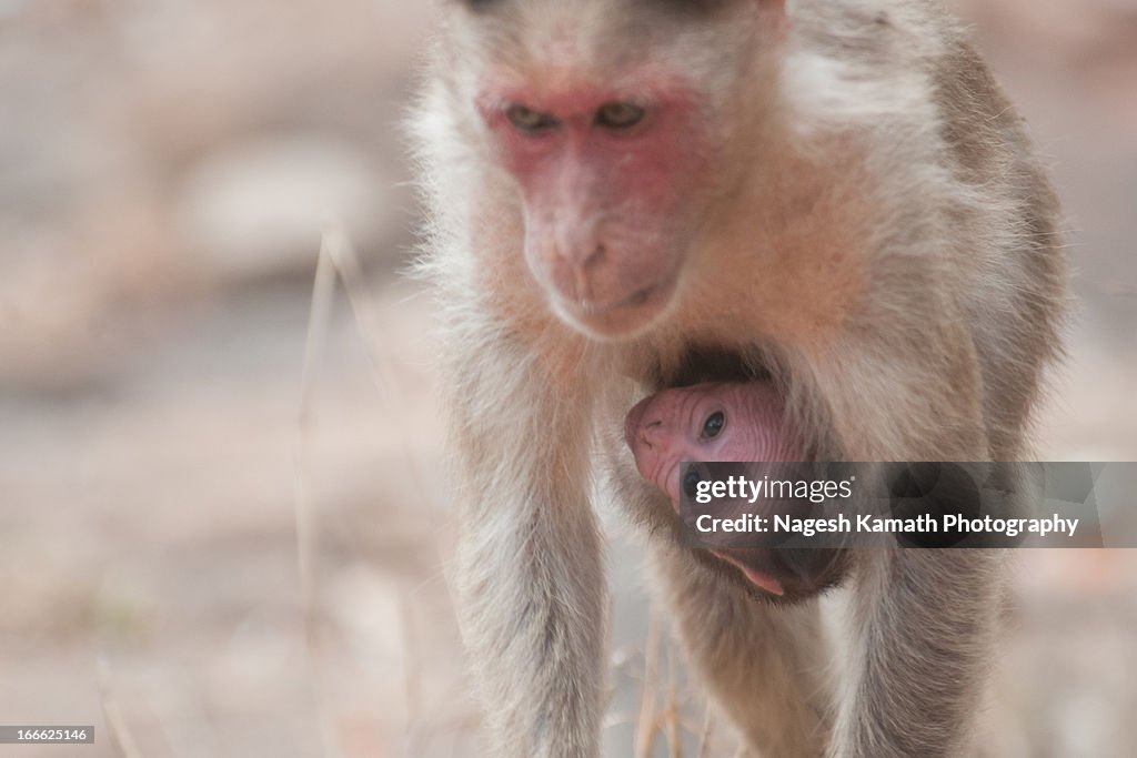 Holding on to Mommy