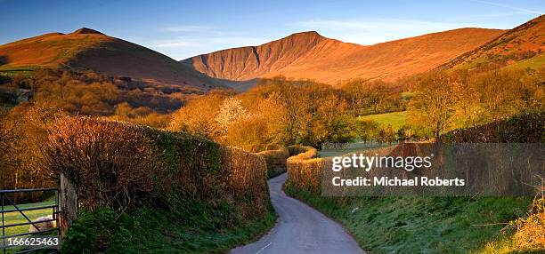 pen y fan and cribyn in brecon beacons - brecon beacons stock pictures, royalty-free photos & images