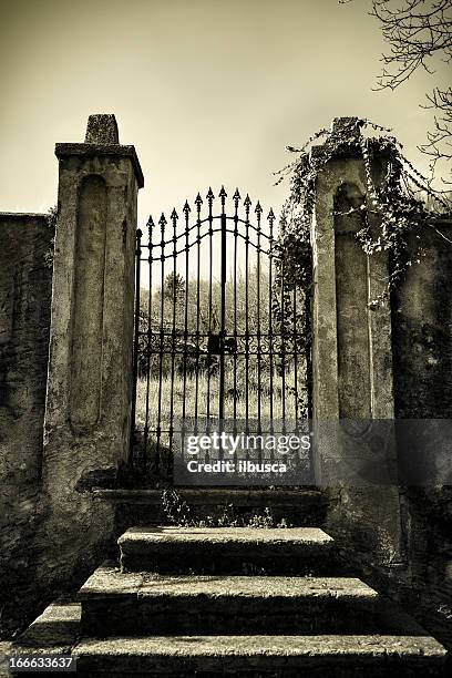 scary antique gate monotone - spooky graveyard stock pictures, royalty-free photos & images