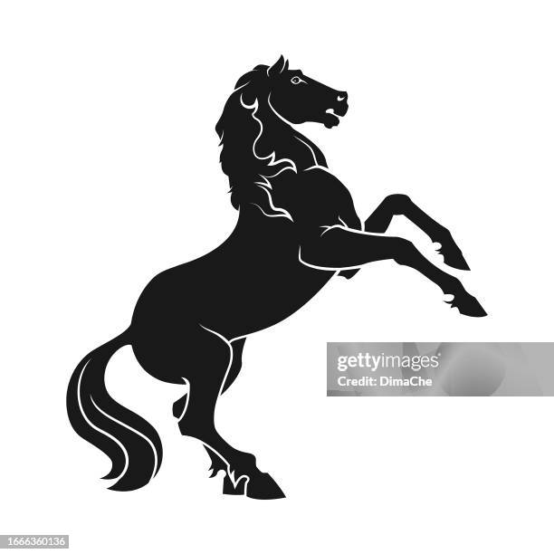 ilustraciones, imágenes clip art, dibujos animados e iconos de stock de caballo parado sobre patas traseras - silueta recortada vectorial - chess horse