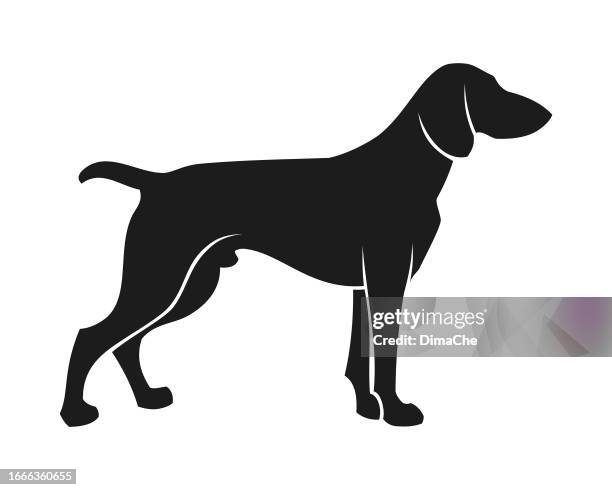 hunting dog. cut out silhouette of a pointer, labrador, or foxhound - chinese new year dog stock illustrations