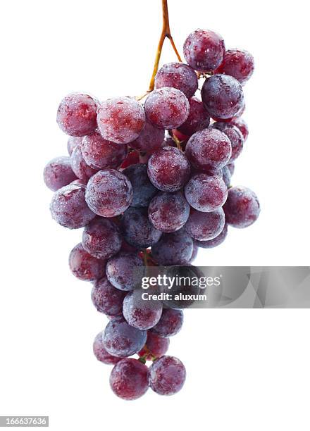 uvas vermelhas - cachorro-quente imagens e fotografias de stock