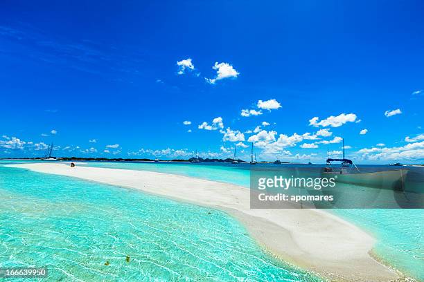 tropical white sand cay beach in los roques venezuela - venezuela stockfoto's en -beelden