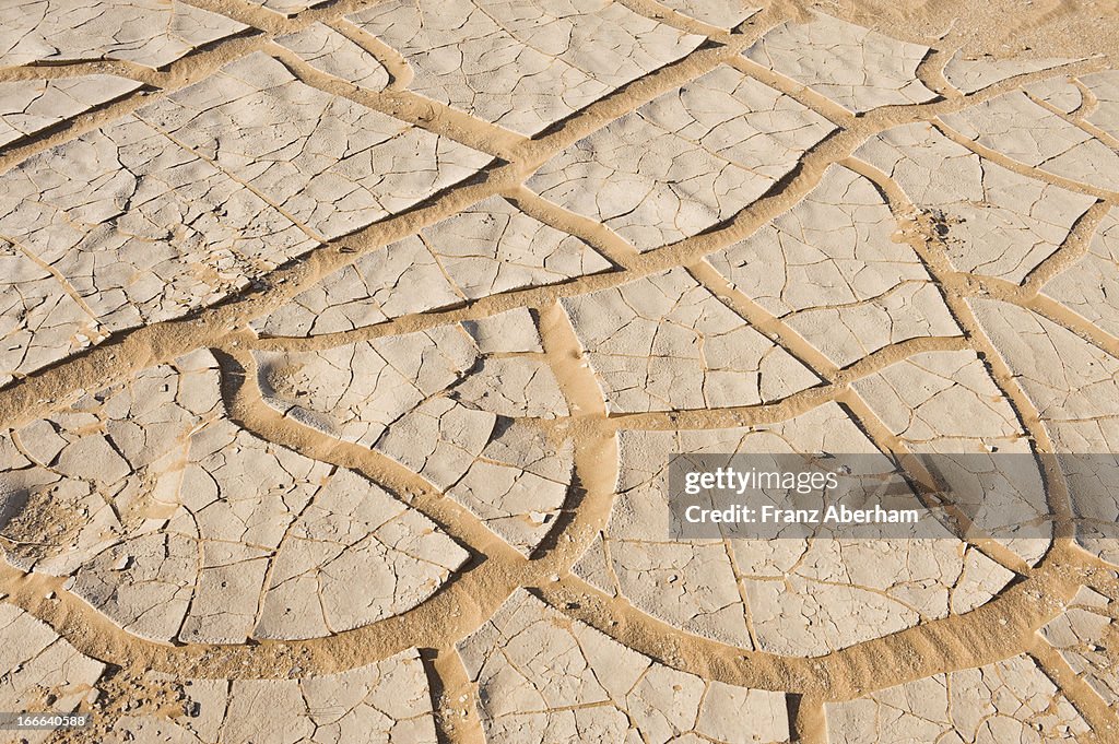 Soil texture