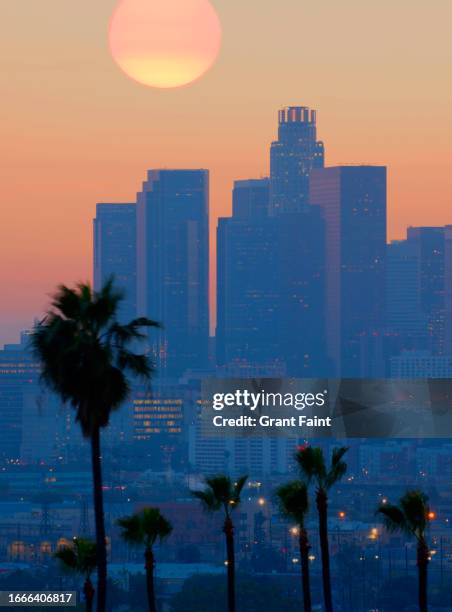 skyline at sunset. - la skyline stock pictures, royalty-free photos & images