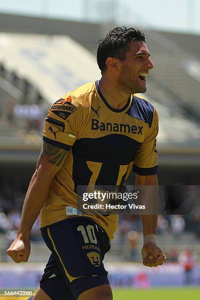 Martin Bravo of Pumas celebrates a goal against Tigres during a match between Pumas and Tigres as part of the Clausura 2013 Liga MX at Olimpico...