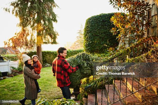 wide shot father carrying christmas tree up front stairs of home - decorated christmas trees outside stockfoto's en -beelden