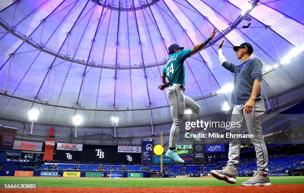 Julio Rodriguez of the Seattle Mariners takes the field during a game against the Tampa Bay Rays at Tropicana Field on September 07, 2023 in St...