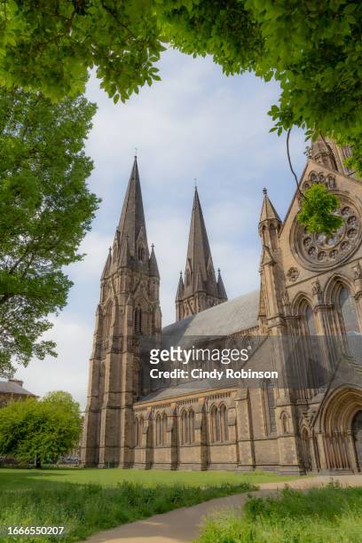 st mary's cathedral - basilican church stock pictures, royalty-free photos & images