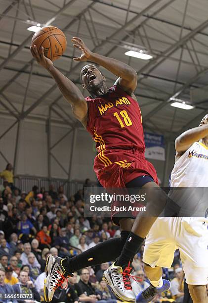 Tony Mitchell of the Fort Wayne Mad Ants dribbles the ball against the Santa Cruz Warriors, during the first round of the NBA D-League playoffs on...