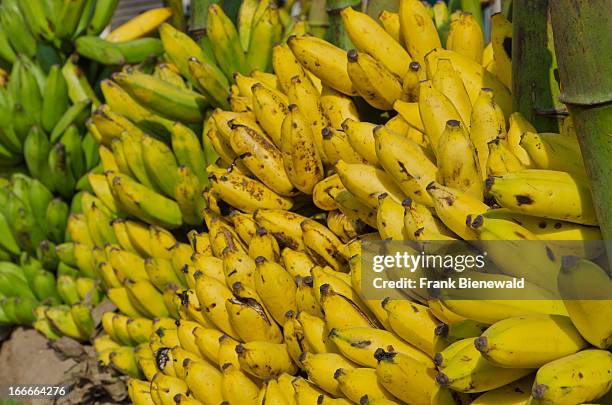 Green and yellow bananas at wholesale market in the streets of Madurai..