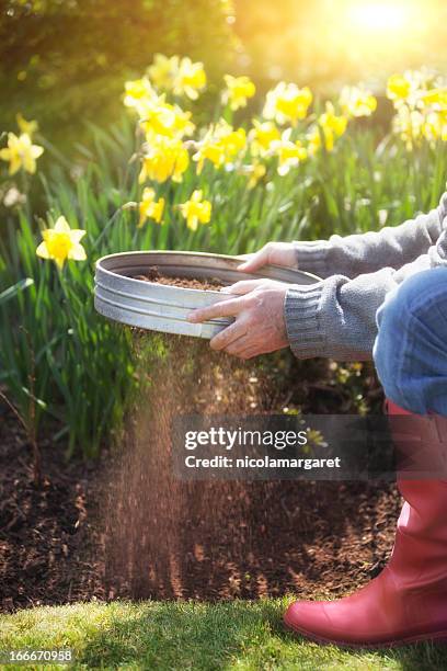 gardening - sieve stock pictures, royalty-free photos & images