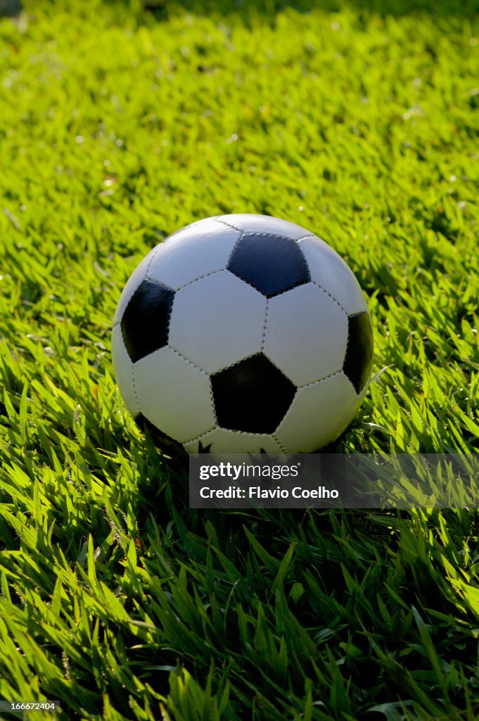 Soccer ball on the grass