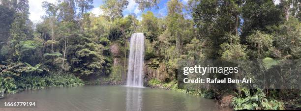 millaa millaa falls atherton tablelands queensland australia - chutes millaa millaa photos et images de collection