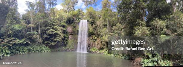 millaa millaa falls atherton tablelands queensland australia - millaa millaa waterfall stock pictures, royalty-free photos & images