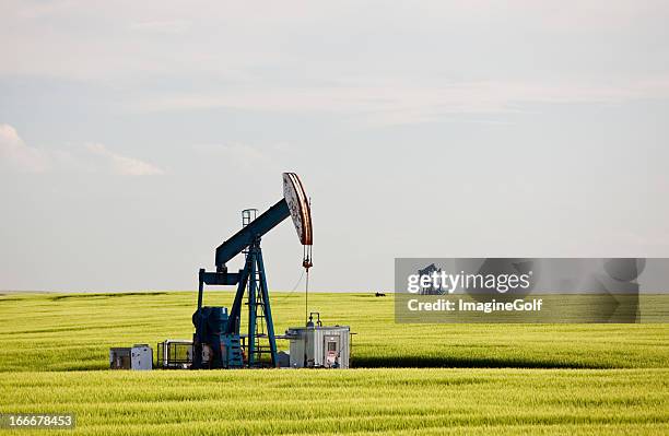 pumpjack dans le champ de blé dans un gisement de pétrole - derrick photos et images de collection