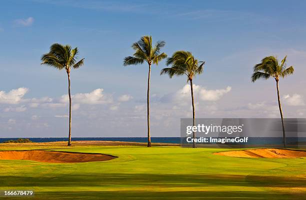 golf green by the sea - hawaii flag 個照片及圖片檔