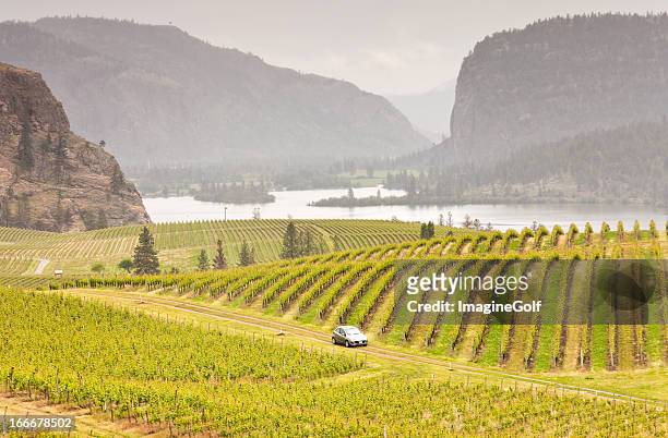 car driving through rolling vinyards - kelowna stock pictures, royalty-free photos & images