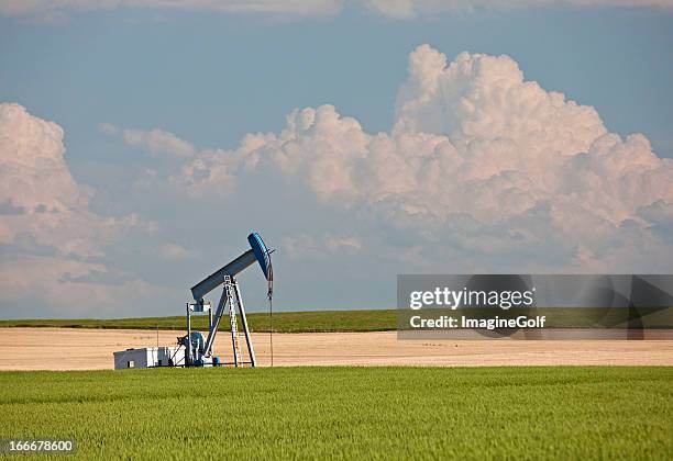 pumpjack no campo de trigo - campo da golf - fotografias e filmes do acervo