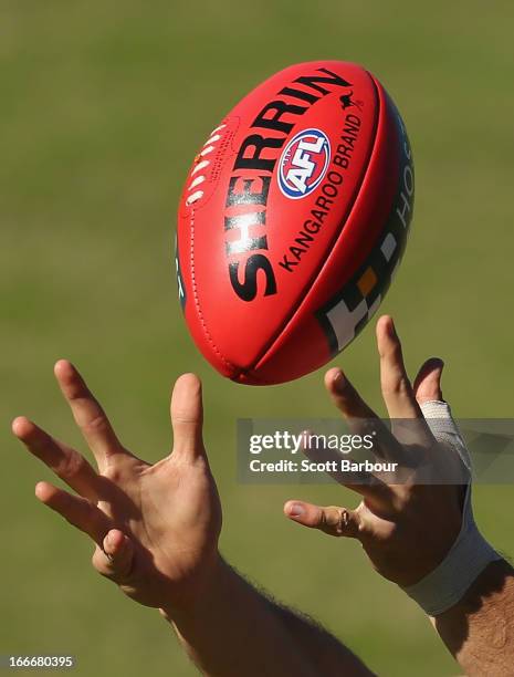 Ivan Maric of the Tigers catches the ball during a Richmond Tigers AFL training session at ME Bank Centre on April 16, 2013 in Melbourne, Australia.