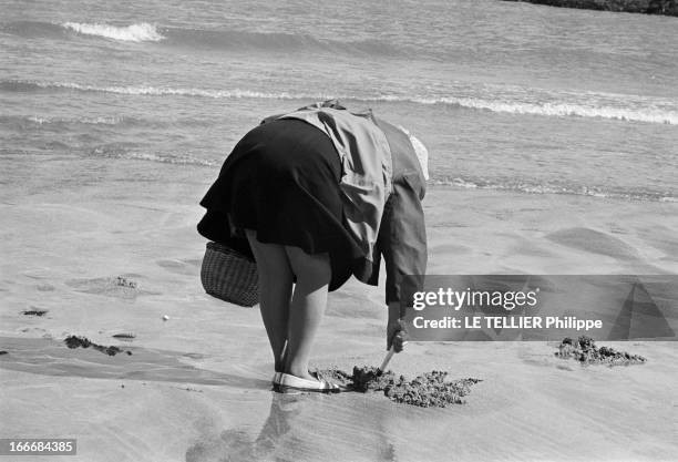 Tide Of The Century In Britain. En France, en Bretagne, en mars 1967, la grande marée est un jour propices à la pêche à pieds. Ici une femme vue de...