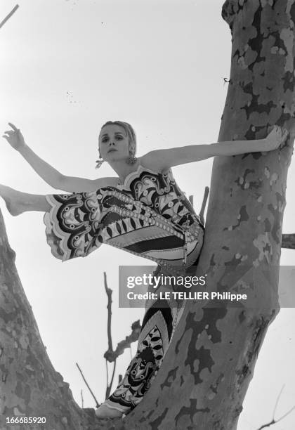 Francoise Dorleac Magazine For Television 'Dim Dam Dom'. Le 13 avril 1966, l'actrice française Françoise DORLEAC, soeur de l'actrice Catherine...