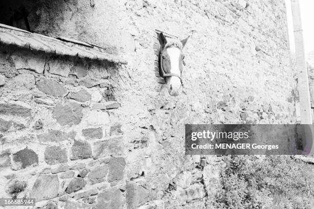 Rendezvous With Abbot Edmond Fleury De Randan. Le 19 octobre 1962, à Randan. Photo d'un mur dont la tête d'un cheval dépasse en passant à travers un...