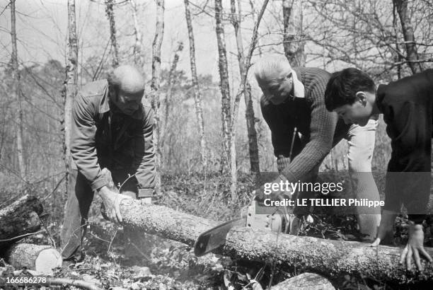 Rendezvous With Prince Louis Napoleon And His Family In Frangins In Switzerland. En avril 1968, le prince LOUIS NAPOLEON, coupant du bois avec une...