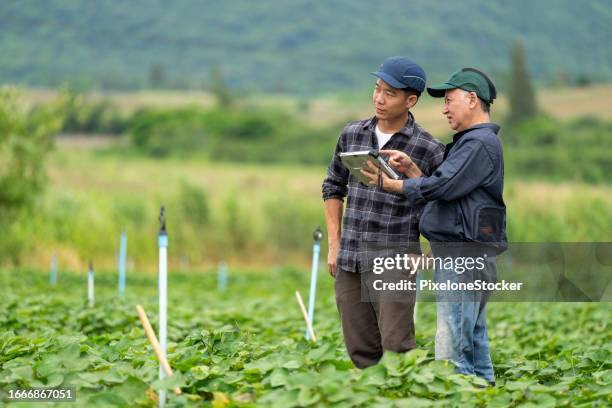 japanese father and son discussing work using tablet computer explanation the working plan. - farmer drone stock pictures, royalty-free photos & images