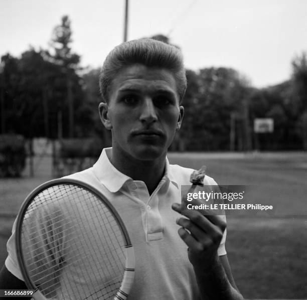 Close-Up Of Jean-Noel Grinda, Hope Of French Tennis. En France, en 1959, sur un court de tennis, portrait de Jean-Noël GRINDA, joueur de tennis,...