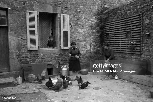 Everyday Life Of Three Breton. Bretagne, le 30 mai 1963. Reportage sur trois femmes vivant en Bretagne dans une ferme. Dans la cour d'une ferme, une...