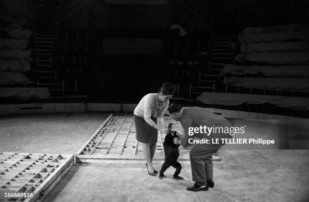 The Circus ' Medrano' Closed Its Doors. Le 9 janvier 1963, Violette et Jérôme MEDRANO, avec leur bébé gorille Fifi', les anciens propriétaires du...