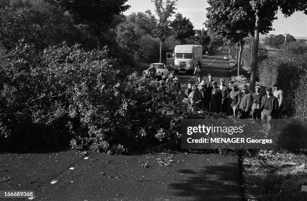 Farmers Demonstration In 1967. 13 Octobre 1967, manifestations de paysans à Guéret dans la Creuse. Des agriculteurs ont barré une route de campagne...