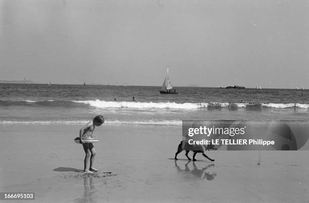 The Perros Guirrec Beach In Britain Cleaned After The Accident Of The 'Torrey Canyon'. En France, juillet 1967, moins quatre mois après la marée...