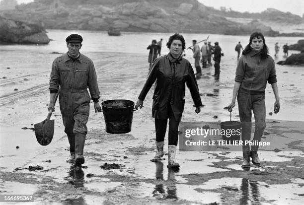 Sinking Of Oil Tanker Torrey Canyon, The Black Tide Reached Brittany. France, le 18 mars 1967, le pétrolier 'Torrey Canyon' fait naufrage entre les...