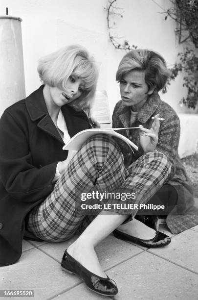 Close-Up Of Mireille Darc. France, 3 mars 1966, l'actrice Mireille DARC, après 10 ans de carrière, accède enfin au rang de star du grand écran avec...