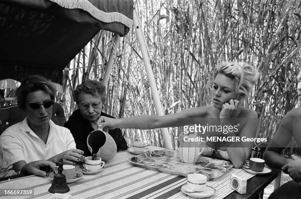 Brigitte Bardot Celebrates Her 24 Birthday In Saint Tropez. 1958 - Brigitte BARDOT fête l'anniversaire de ses 24 ans à Saint-Tropez. Le café sur la...