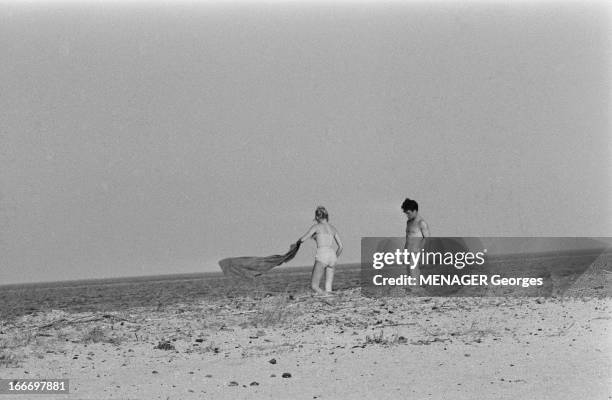 Brigitte Bardot And Jacques Charrier Engaged. Jacques CHARRIER avec sa compagne Brigitte BARDOT sur une plage, à l'abri des curieux. JUin 1959..