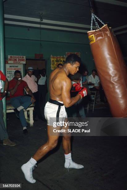 Cassius Clay Prepares His Match Against Sonny Liston In Miami. Miami, f?vrier 1964 : Cassius CLAY , 22 ans, pr?pare son combat contre le champion du...